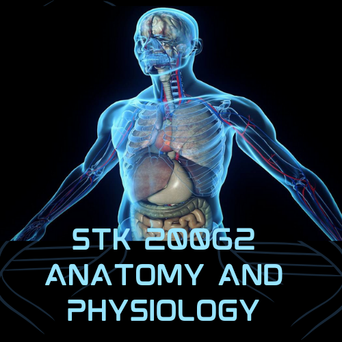 STK 20062 ANATOMY AND PHYSIOLOGY